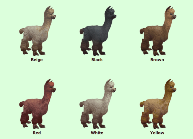 Alpacas