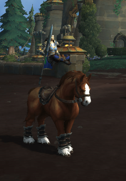 getting ready for the showjumping