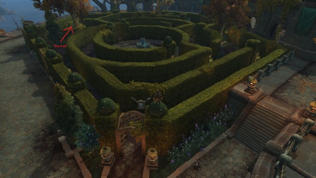 hedge maze