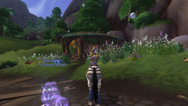 WoWScrnShot_062519_130723