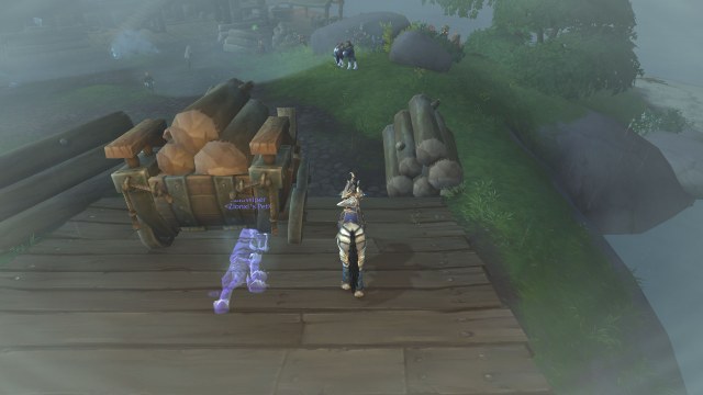 WoWScrnShot_062519_145312